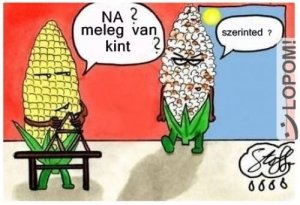 2045c4a17d548957676f7b09d96a8b61