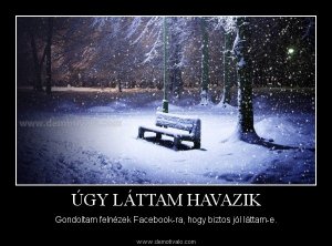 1354728922.0386-wsSnowingPark852x480-f